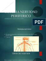 Sistema Nervioso Periferico