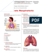 Aparato Respiratorio para Quinto de Primaria