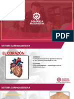 Tema 2 Anatomía PPT - Cardiovascular