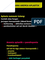 Anemia Anaplastik