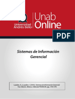 Sistemas de Información Globales