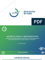 Diapositivas Micro Primer Parcial