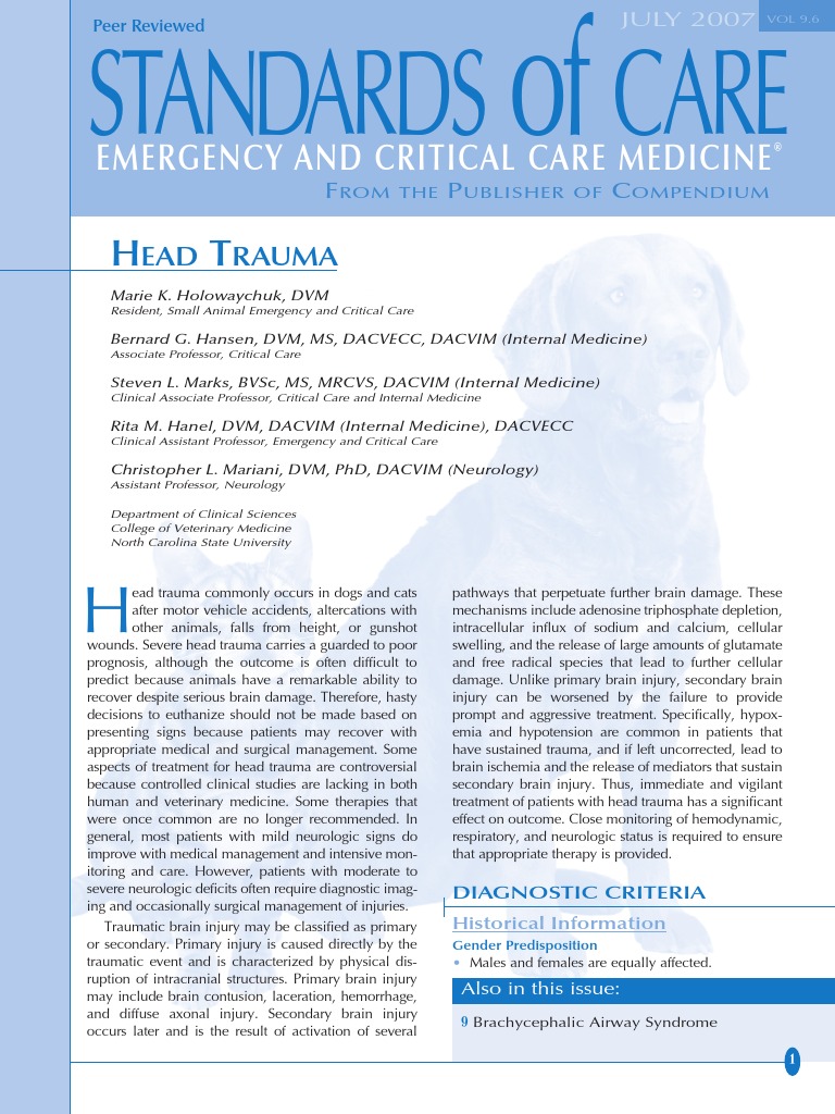 Head Trauma Management in Pets | PDF | Traumatic Brain Injury | Major ...