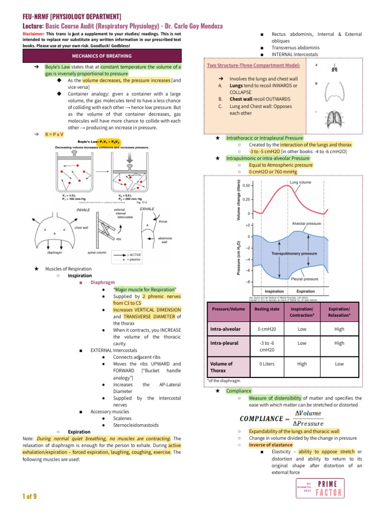 (BCA 3) Respiratory Physiology (Dr. Mendoza) | PDF | Lung | Exhalation