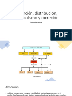 Absorción, Distribución, Excresión