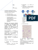 Documento Sem Título