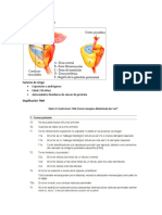 Cáncer de próstata