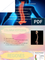 Columna Vertebral Yarid