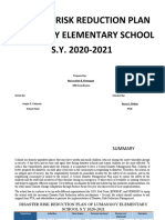 Disaster Risk Reduction Plan Lumangoy Elementary School S.Y. 2020-2021