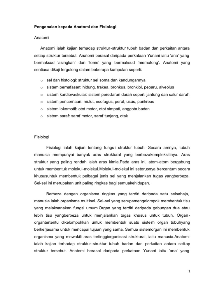 KKP ANATOMI