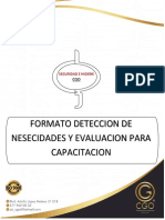 Formato Capacitacion Cgo 2022