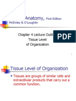 Human Anatomy,: Chapter 4 Lecture Outline: Tissue Level of Organization