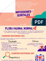 Infecciones Genitales. Gineco-Obstetricia