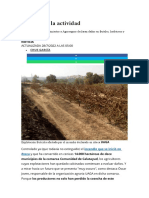 Daños agrícolas incendio Ateca