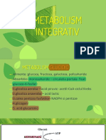 Metabolism Integrativ Curs