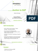 Introduction To SAP: Daniel Mateo