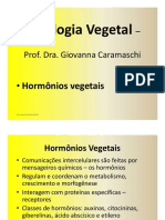 Hormônios Vegetais