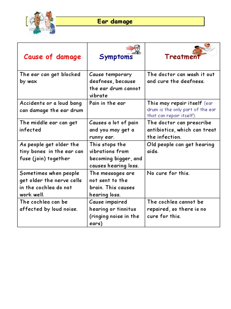 Ear Damage: Causes, Symptoms, Treatment | PDF