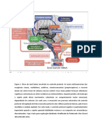 Controle Sensorial