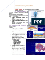 Aparato Cardiovascular y Respiratoria