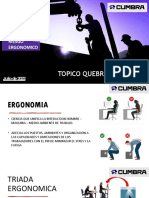 Ergonomia Laboral