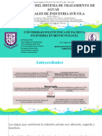 Evalución de Aguas Residuales de La Industria Avícola - Equipo5