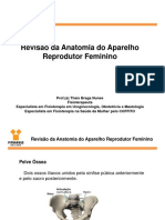 Revisão da anatomia do aparelho reprodutor feminino