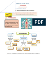 Actividad N°4... Ciencias Naturales