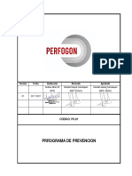 Pg-01 Programa de Prevencion