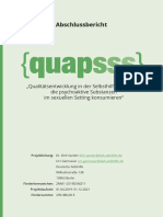 Quapsss-Abschlussbericht