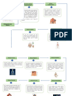 Sistema Del Cuerpo Humano