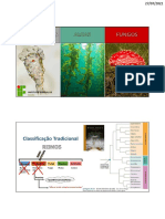 Aula - Algas, Protozoários e Fungos