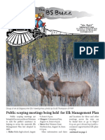 Public Scoping Meetings Being Held For Elk Management Plan: "No Bull"
