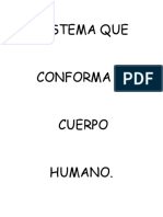 Cuerpo Humano