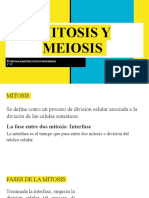 Mitosis y Meiosis