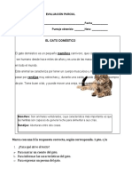 Evaluación Parcial Mayo