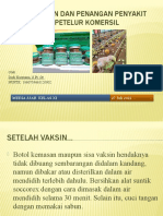 Pencegahan Dan Penangan Penyakit Pada Ayam Petelur Komersil