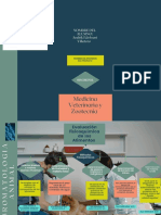 Mapa Conceptual Zootecnia