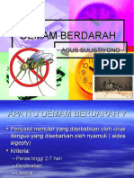 Demam Berdarah