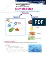 Biomoléculas para Sexto de Primaria