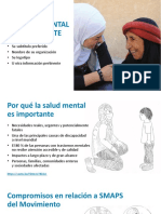 Mental-Health-Matters Presentation Spanish