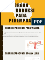 Organ Reproduksi Pada Perempuan 9b