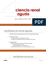 Insuficiencia Renal Aguda - 220723 - 163425