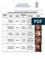 Tabla de Propiedades Morfologicas