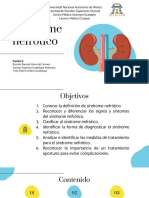 Síndrome Nefrótico.