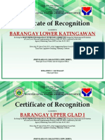 Certificate of Recognition: Barangay Lower Katingawan