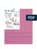 Ascultarea Activa