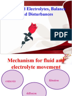 Fluid and Electrolyte Imbalances Guide