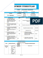 ResumenCurricularTSUMetalurgico