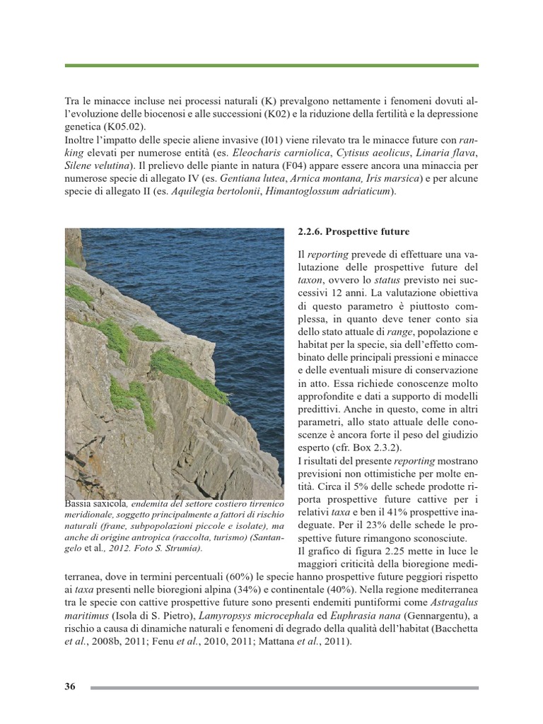 FL 20 | PDF